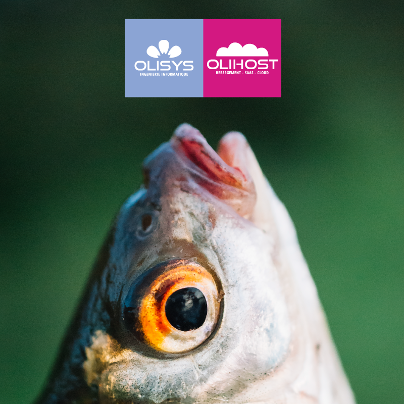 poisson le phishing n'est pas un poisson d'avril
