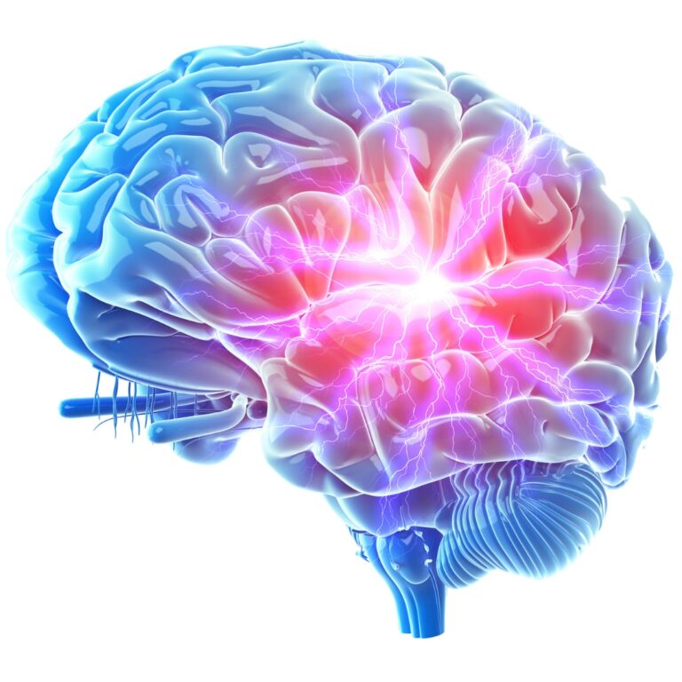 phishing - quand les hackers piratent notre cerveau